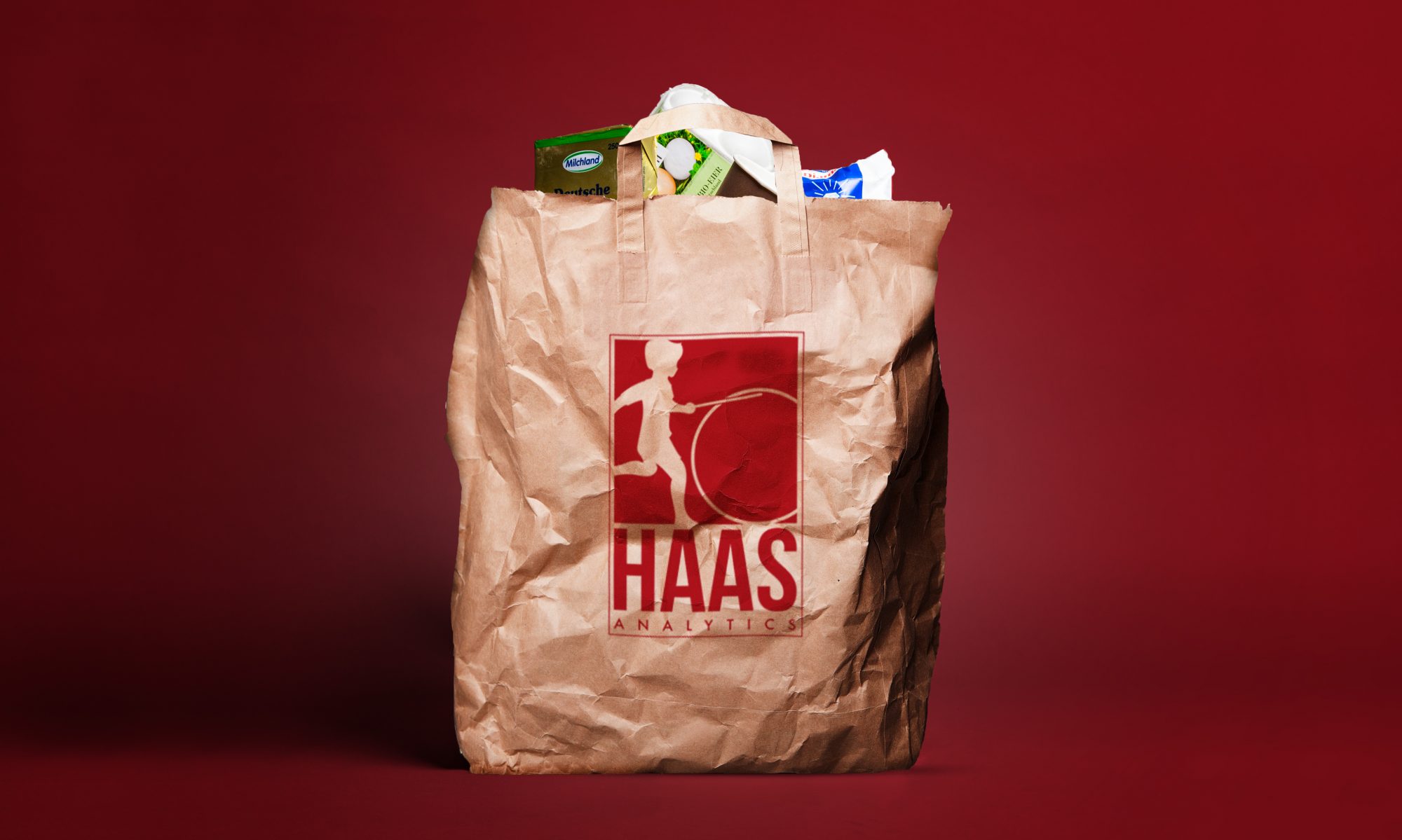Haas Analytics – Dem Einkauf auf der Spur!